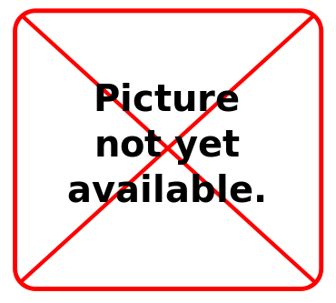 no picture.png